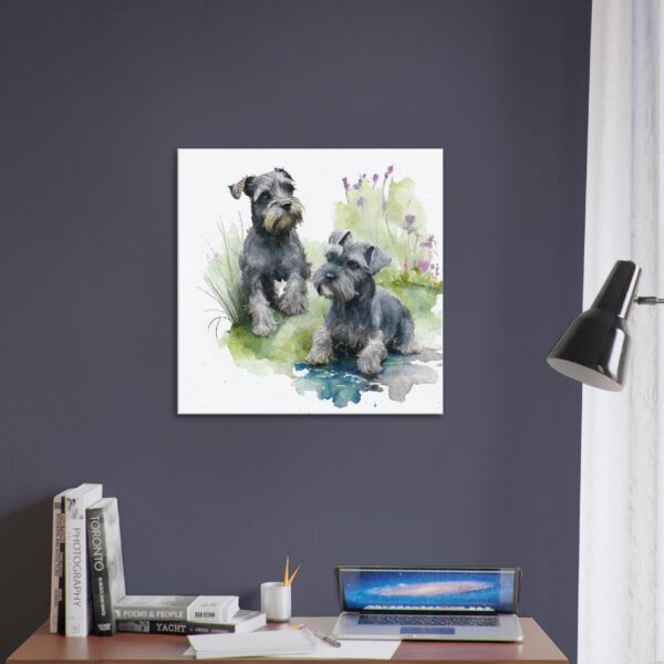 Miniature Schnauzer Playing : Schnauzer Smiles Miniature Schnauzer Playing : Schnauzer Smiles