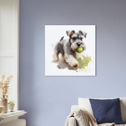Miniature Schnauzer Playing : Charming Companion