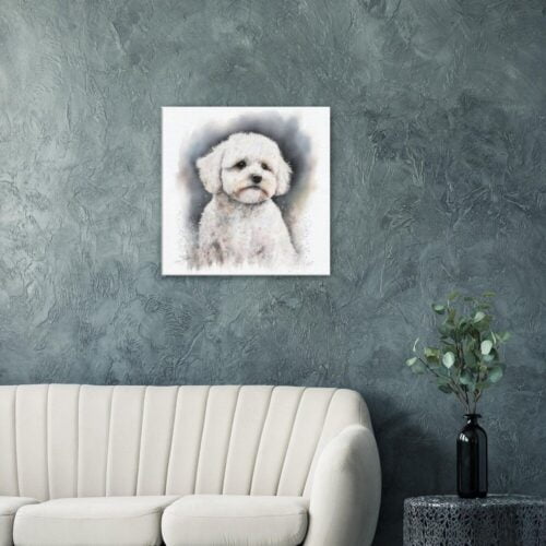 Bichon Frise Prints : White Fluffball Bichon Frise Prints : White Fluffball
