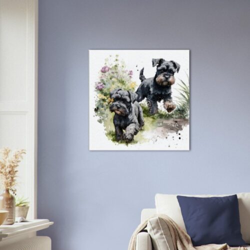 Miniature Schnauzer Playing : Bold and Beautiful Miniature Schnauzer Playing : Bold and Beautiful