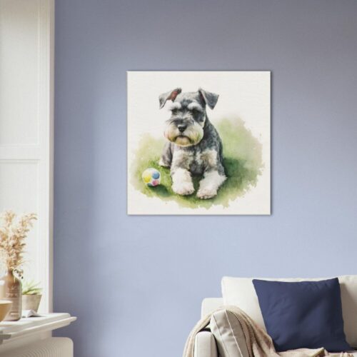 Miniature Schnauzer Playing : Schnauzer Splash