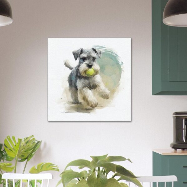 Miniature Schnauzer Playing : Schnauzer Smiles Miniature Schnauzer Playing : Schnauzer Smiles